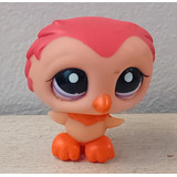 Figura Little Pet Shop Hasbro 264 Rana Fondo Ojo Naranja