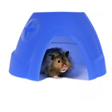 Casa Iglu Para Roedores Hamster