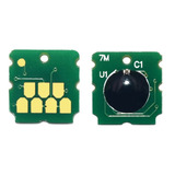 Kit 2 Chip Tanque Compatible Epson C13s210125 F100 F130 F170