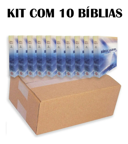 Kit C/ 10 Biblias Sagrada P/ Evangelismo Ed. Promessas 9x13