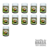 Semilla Sdb 100% Original (11 Frascos)