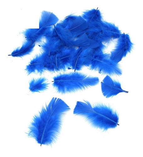 Plumas Decorativas De Ganso 12 A 15 Cm  14 Gr Colores Paq