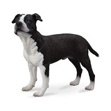 Collecta American Staffordshire Terrier.