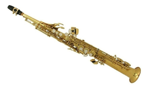 Saxo Soprano Ocean Oss390 En Si Bemol Incluye Estuche