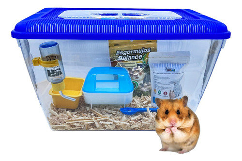 Casa Comedero Bebedero Alimento Sustrato Para Hamster Raton