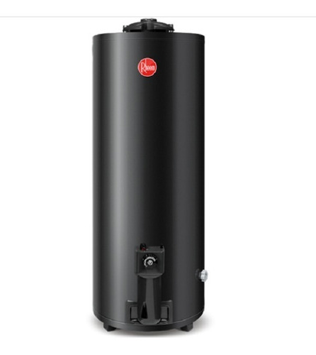 Termotanque Rheem Tgnp120rh 120lt. Gas Nat.de Pie