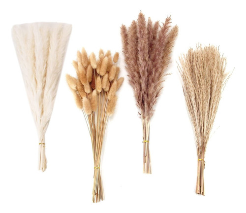 Caudas De Coelho Secas Para Decoração De Grama Dos Pampas,