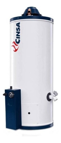 Termotanque A Gas Natural Cinsa C-101 Gn Blanco 38l