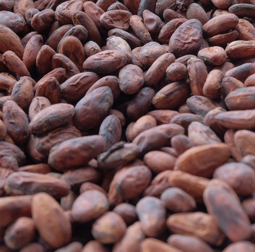 Semilla De Cacao 250g