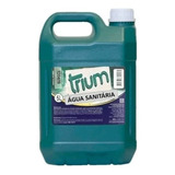 Agua Sanitaria 5l Trium Poti