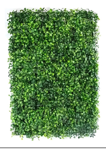 Muro Verde Follaje Artificial Sintetico 60x40cm (10 Pieza)