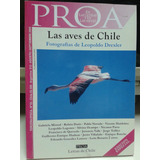 Las Aves De Chile * Drexler * Fotos Poesia  Proa Agosto 2005