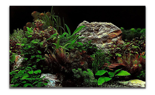 Painel P/aquários Fundo Preto Rochas Plantas Pp-086 50x200cm