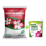 14kg Substrato Rosa Do Deserto + 400gr Forth R. D. Floração