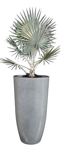 Vaso Luxo Tipo Vietnamita Planta Decor Jardim Casa