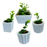 Kit Mini Vasinhos Decorativos Com Plantinhas Suculenta