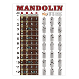 Guía De Referencia De Tabla De Acordes De Mandolina,