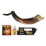 Shofar De Chifre Antílope - De Israel+ Livro  #xl7