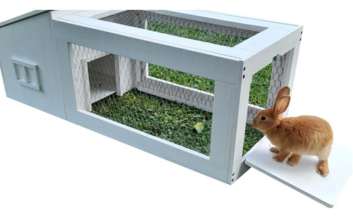 Casa Para Conejos Cobayos Con Corral - Pintado