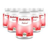 Berberina ( Berberine ) Cápsulas 500mg 100%pura - 6 Frascos 