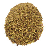 Alfafa Crioula / Medicago Sativa - 1 Kg De Sementes