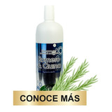 Shampoo Romero Y Quina  500 Ml