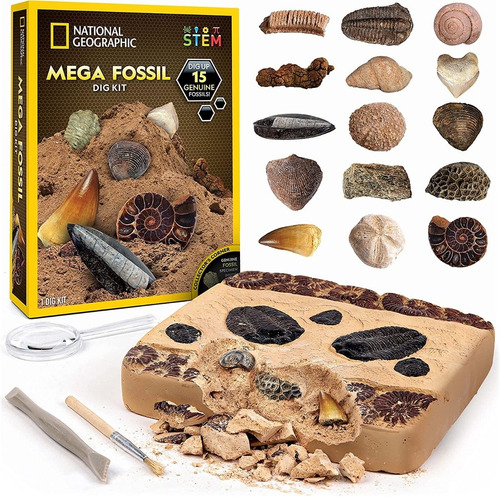 National Geographic Set Para Excavar Fosiles Reales