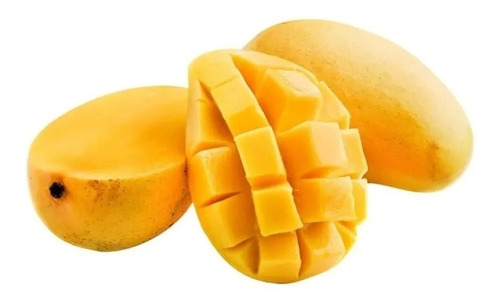 Mango Manila Listo Para Sembrar - Certificado Para Anaquel