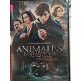 Animales Fantásticos Y Dónde Encontrarlos - Dvd