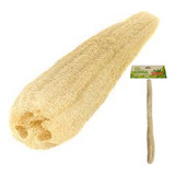 Esponja Bucha Vegetal Natural Longa 70 Cm Banho Lavar Costa 