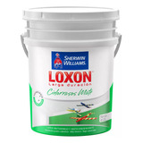 Latex Cielorrasos Loxon Blanco 20 Litros Serrentino