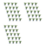 60 Support Units For Aerial Plants, Support For Vases