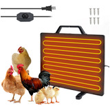 Calentador Coop Heater Para Gallinas De Invierno, Plato Para