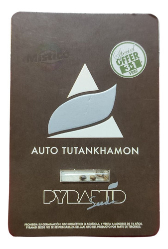 Semillas De Colección Tutankhamon Auto (3+1) Pyramid Seeds 