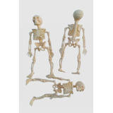 3x Esqueleto Cuerpo Humano 12 Cms Educa Deco Halloween