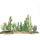 Adhesivos De Pared Con Diseño De Cactus Del Desierto Para Sa