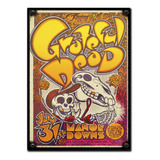 #370 - Cuadro Vintage 30 X 40 - Rock Música Grateful Dead 