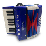 Acordeon Turbinho 8 Baixos