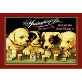 Yuengling  Son Ale And Beer Dogs Vintage Look   L Signs...