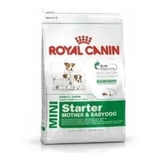 Royal Canin Starter Mamá E Hijos 20kg A Granel + Obsequio
