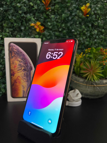 iPhone XS Max De 64 Gb Impecable