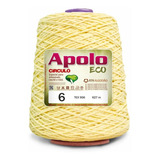 Barbante Apolo Eco Colorido N06 600g - Círculo