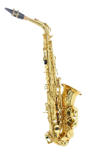 Saxofone Alto Laqueado Eb Custom Com Case