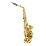 Saxofone Alto Laqueado Eb Custom Com Case