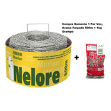 Arame Farpado 500m 100% Galvanizado Nelore + 1kg Grampo