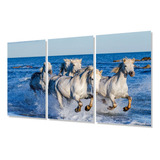 Cuadro Trip 80x120 Caballo Blanco Manada Galope Mar