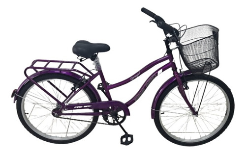 Bicicleta Paseo R24 Firebird 1v Frenos V-brakes Envio Gratis