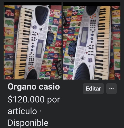 Organo Casio