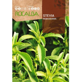 Semilla Stevia Rocalba