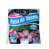 Terra Especial Para Rosa Do Deserto 1 Kg Mato Verde